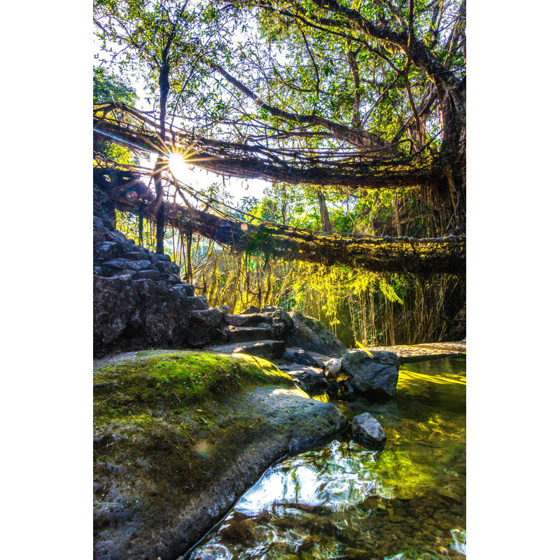 Caius Meghalaya - Wrapped Canvas Print, 46cm H x 30cm W x 3.8cm D