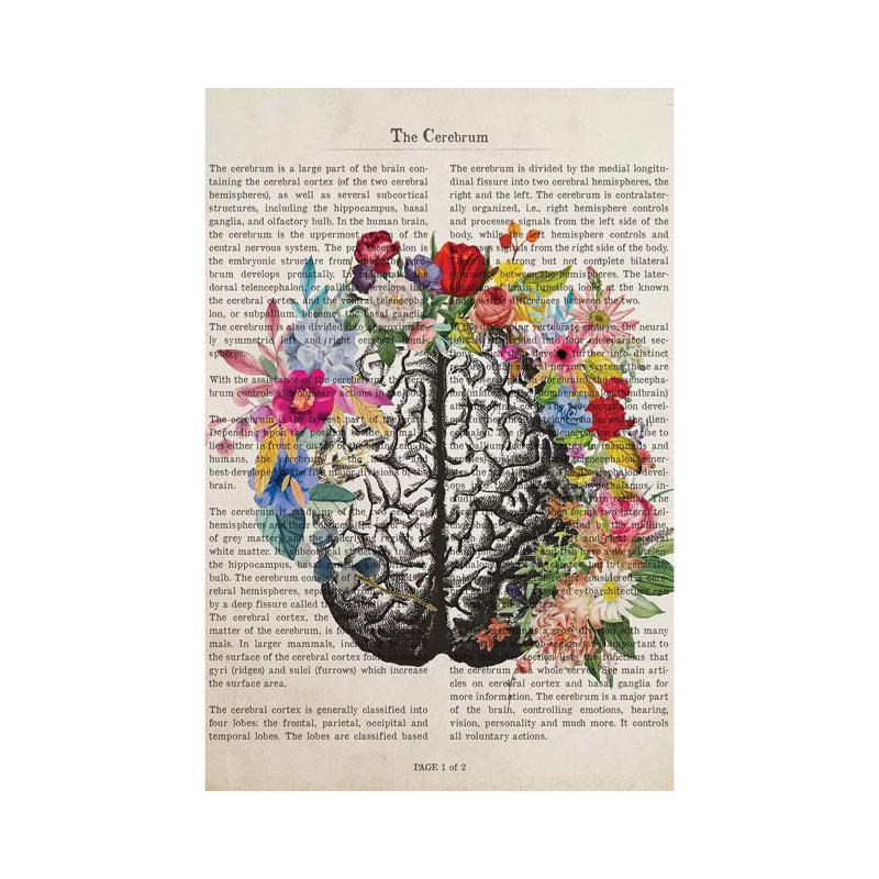 The Cerebrum - Wrapped Canvas Print, 20.32 cm H x 30.48 cm W