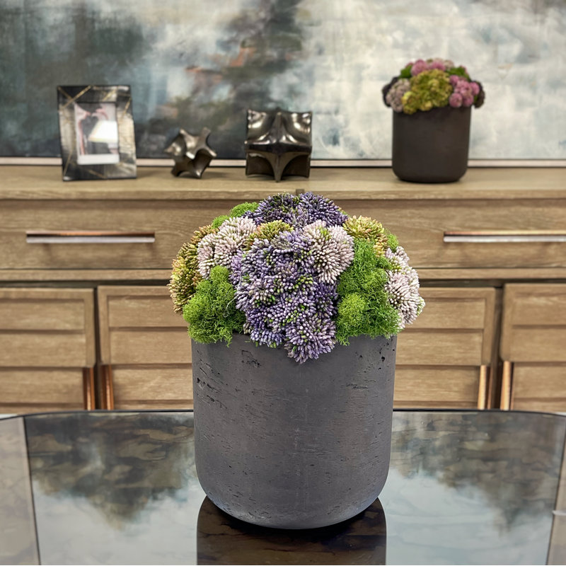 Faux Succulent Plant in Fiberstone Planter, 11" H x 9" W x 9" D, Round, Black