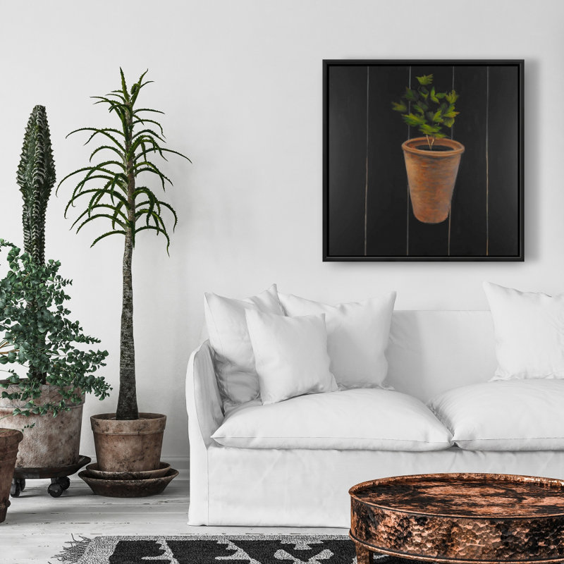 "Plante de persil"