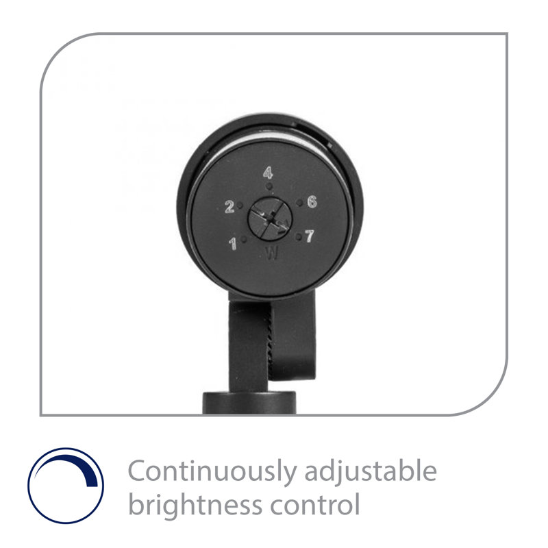 Black Aluminum LED Mini Accent Spotlight with Adjustable Beam