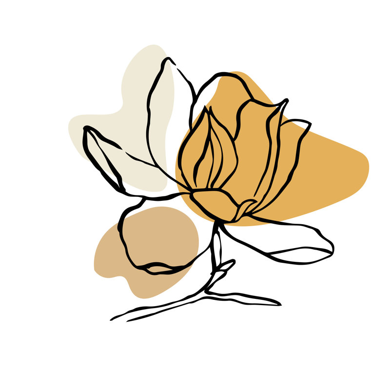 Flower Of Magnolia by Anna Harcenco - Wrapped Canvas Print, 30cm H x 30cm W