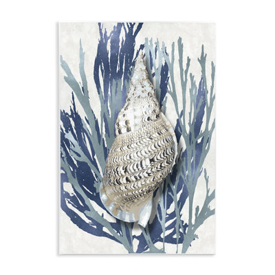 «Shell Coral Blue Beach» par Caroline Kelly - reproduction d'art