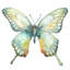 Vibrant Butterfly III Print by Beverly Fuller-26928296-26928298