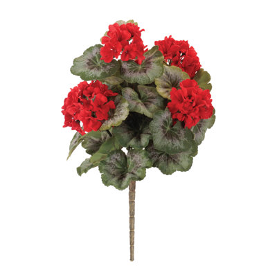 Geranium buisson floral (ensemble de 2)
