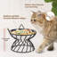 Elevated Feeder