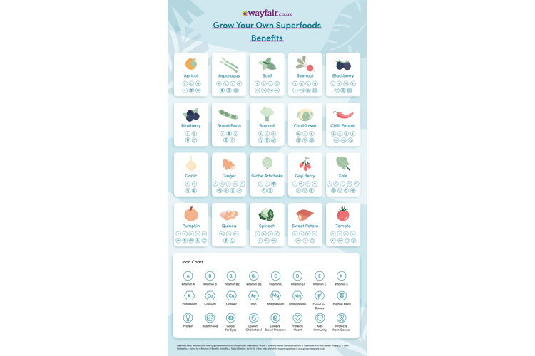 growing superfood guide pt 2