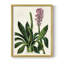 Reproduction encadrée de floral antique II - bois massif-1581812483