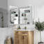 Azamat 30"H Recessed or Surface Mount Frameless LED Medicine Cabinet With  Adjustable Shelves-505742994-505742995