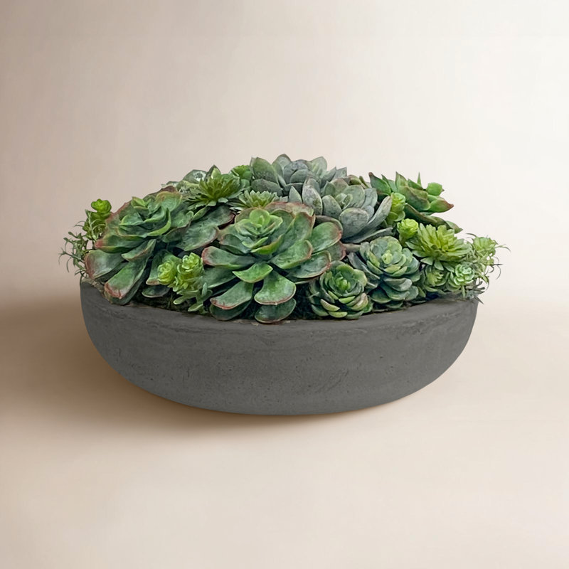 Succulents Mix In Round Bowl