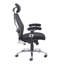 Mesh Back Executive Chair