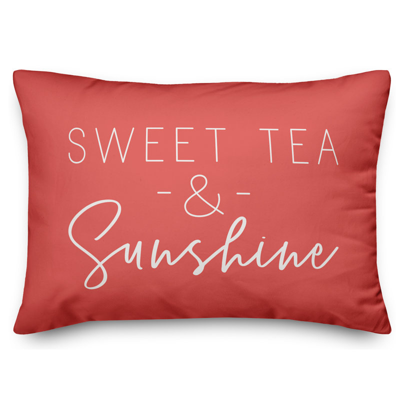  Outdoor Rectangular Pillow Cover & Insert, Coral