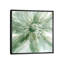 Macro Sage Flower I by Carol Robinson - Wrapped Canvas Painting-343693091-343693116