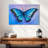 Brampt Blue Butterfly-107692409
