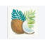 «Coconut Palm IV», reproduction sur toile tendue-27702587-72508171-72508166