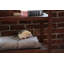 Naturepedic Organic Pet Bed with Washable Waterproof Cover-905471249