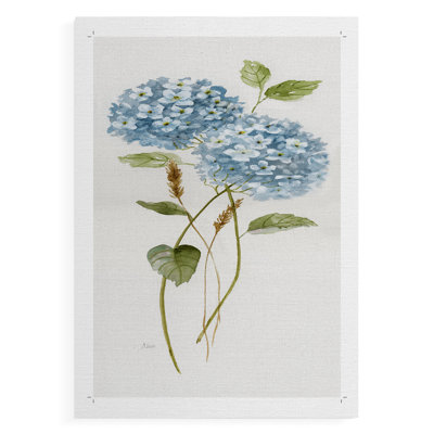 Petite Blue Hydrangea II -Canvas Print Only - NOT FRAMED