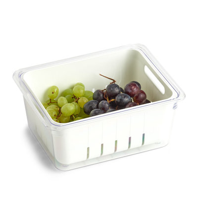 Frischhaltebox Nickens