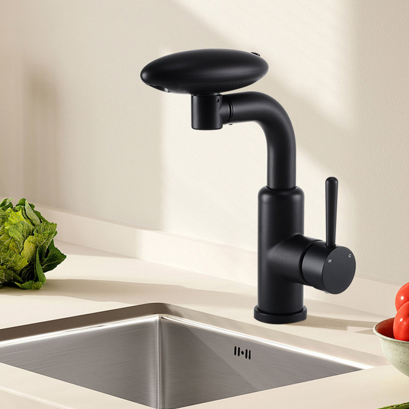 Belfry Kitchen Pull Out Kitchen Faucet