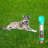 Outdoor Portable Bowl / Dish-72024295-72024296