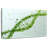 Keiri Botanical DNA-107848611