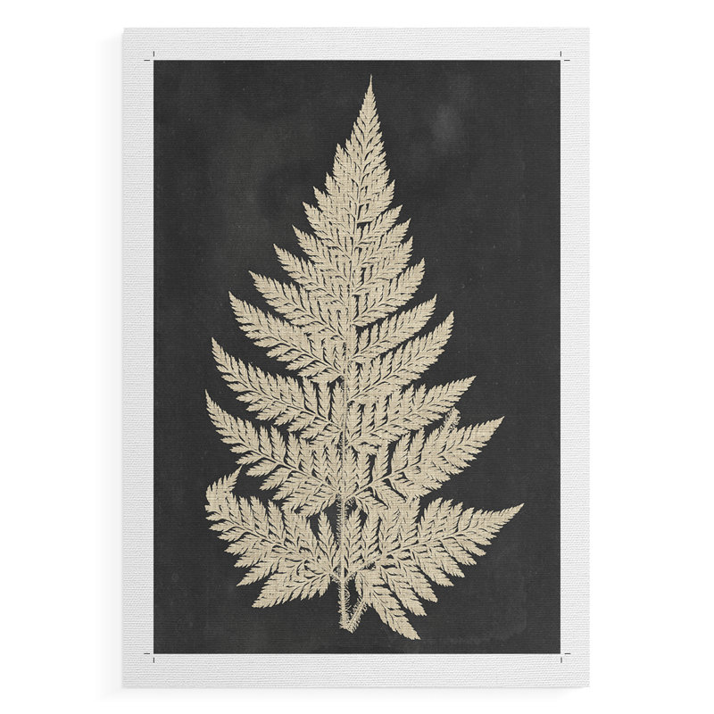 Lin Fougère I - Impression sur toile seulement - NON-CADRE, H 27 po x l 18 po