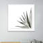 Agave I Print by Jess Engle-48615481-48615482