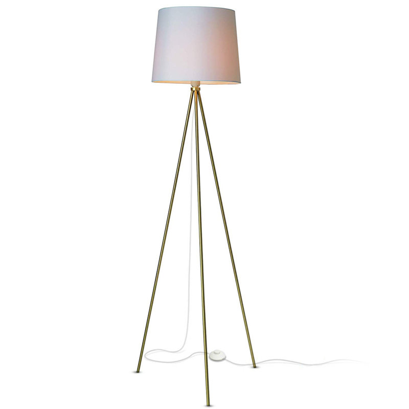 Dunneback 58'' Tripod Floor Lamp, Brushed Gold