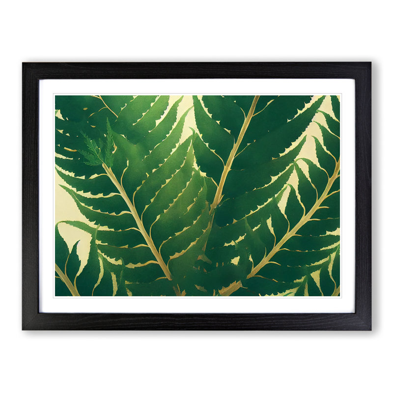 Evolving Fern Leaf - Framed Print, Black, 46cm H x 64cm W x 2cm D