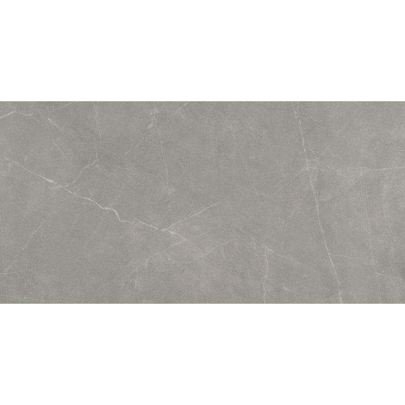 Sterlina Dove 24 in. x 47 in. Polished Porcelain Floor and Wall Tile (15.5 sq. ft./Case), Polished Dove