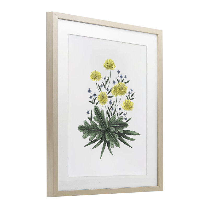 «Dandelion Flower Illustration», reproduction encadrée sous verre, conception de Cecilia Battaini, H 16 po x l 13 po