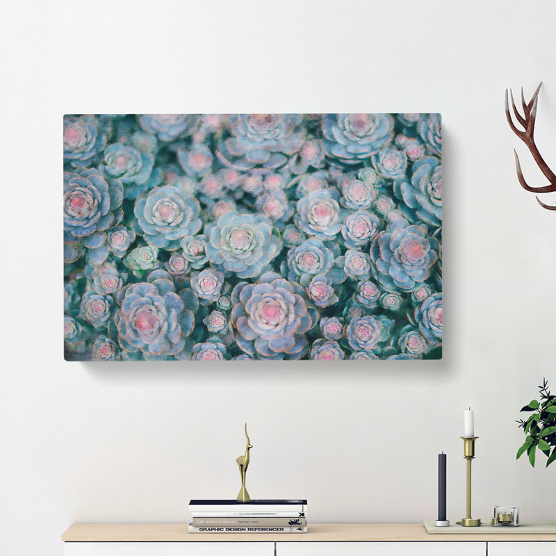 Succulent Plants - Wrapped Canvas Painting, 40cm H x 60cm W x 3cm D