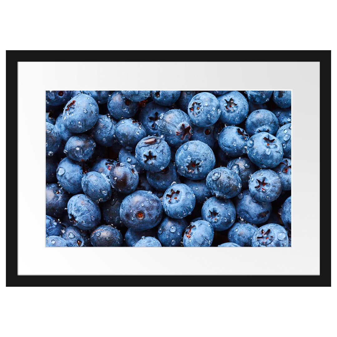 Gerahmtes Poster Blaubeeren mit Wassertropfen