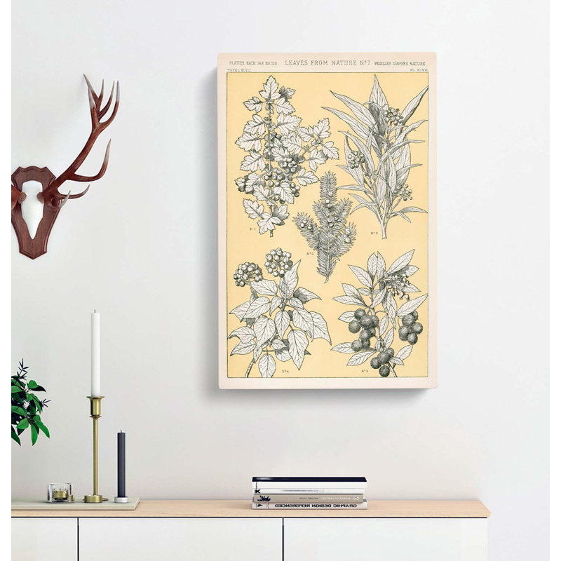 Leaves From Nature No. 7 by Owen Jones - Wrapped Canvas Print, 76cm H x 50cm W x 3cm D