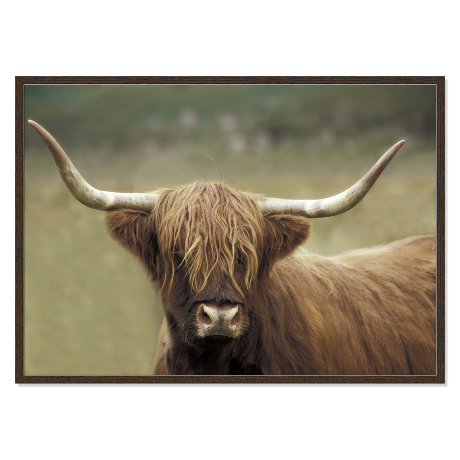 Frederic "Highland Afternoon" Print, 29.5" H x 41.5" W x 0.75" D, Walnut Wood Grain Framed