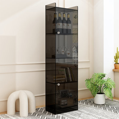 Modern simple display bookcase with door