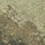Tapis olive intérieur / extérieur lavable à la machine Xhevrie-40000856