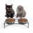 Ceramic Raised Elevate Feeder-50626156