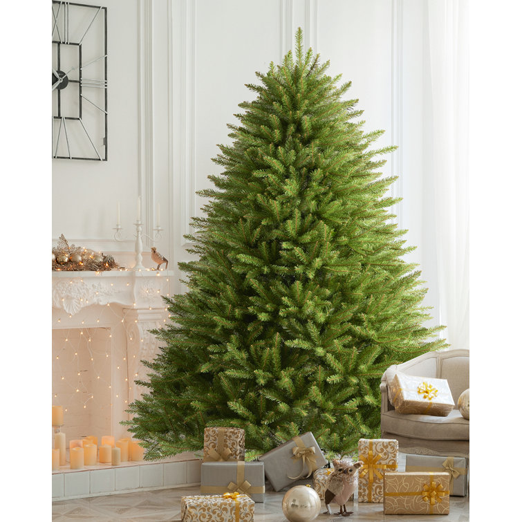 https://assets.wfcdn.com/im/91702571/resize-h755-w755%5Ecompr-r85/2257/225731826/Fir+Christmas+Tree.jpg