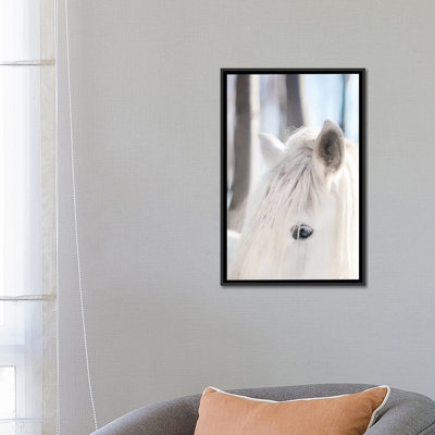 Cheval blanc, impression sur toile