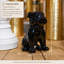 Figurine en céramique noire lustrée -910943244