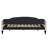 Full Size Upholstered Tufted Daybed with Two Drawers, Combining Comfort, Durability, and Elegant Design for Versatile Use