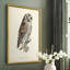 «French Owls III», reproduction encadrée - bois massif-1187835377-1187835376