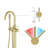 Circular Single Handle Tub Faucet-65166440