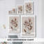 Monochromes botaniques II - Cavas enveloppés de galerie-108843396