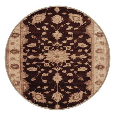 Machine Washable Overdyed Brown Area Rug