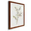 Cadre simple mat Premium Sprig II prêt à accrocher-608552817-608552824