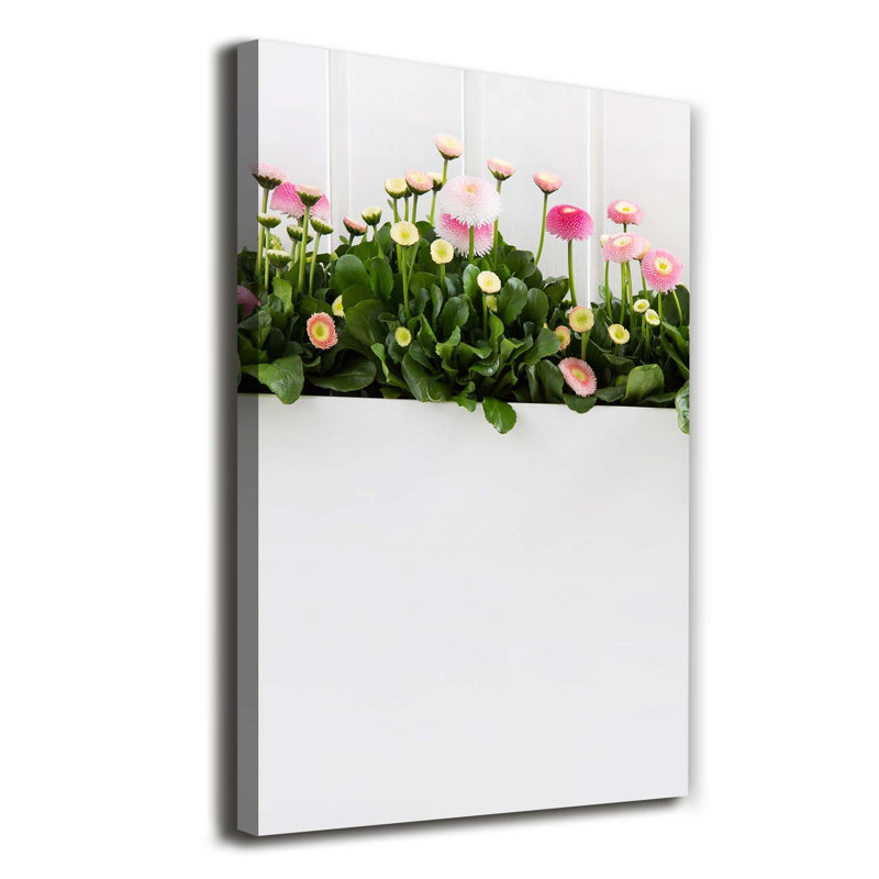 Pink Daisies - Wrapped Canvas Print