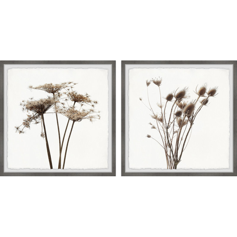 Dried Out Dandelion by Marmont Hill - 2 Piece Single Picture Frame Painting Set, 61" H x 61" W x 3.81" D