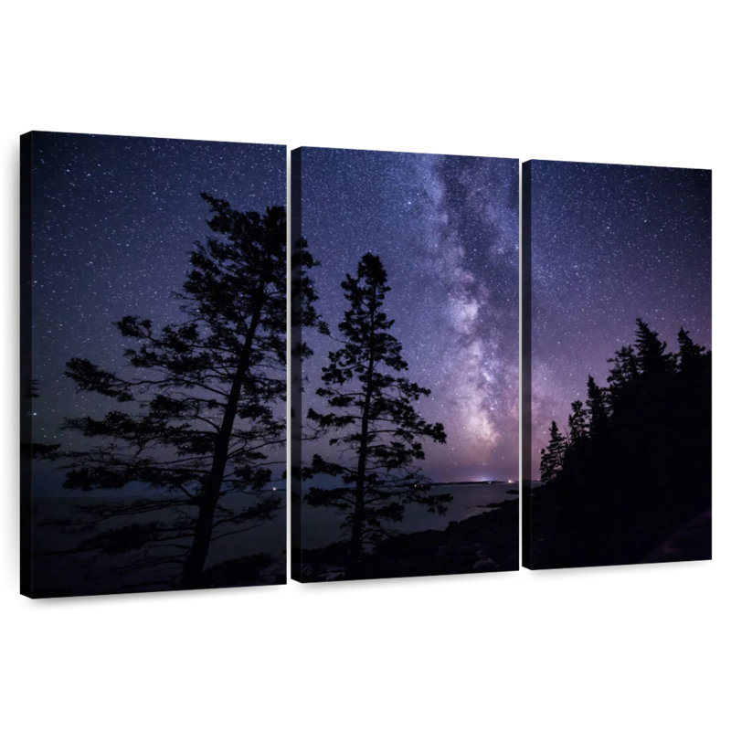 Oberle la Voie Lactée au-dessus du parc national Acadia III, H 32 po x l 50 po
